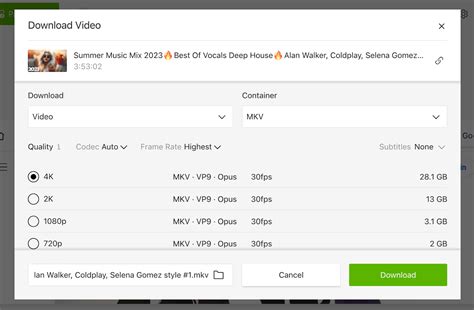 8 Best YouTube to MKV Converters .